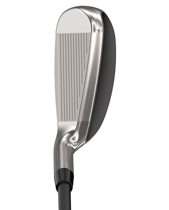 CGXL24 Halo 5-SW Graphite
